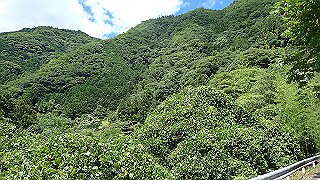 p8050607_thumb.jpg