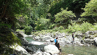 p8050623_thumb.jpg