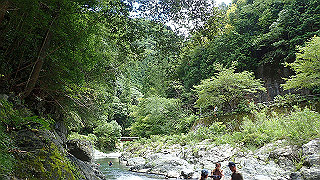 p8050627_thumb.jpg
