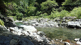 p8050632_thumb.jpg