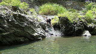 p8050635_thumb.jpg