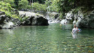 p8050636_thumb.jpg