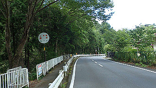 p8050650_thumb.jpg