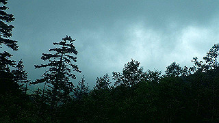 p8270495_thumb.jpg
