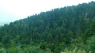p8270496_thumb.jpg