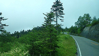 p8270498_thumb.jpg