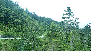 p8270499_thumb.jpg