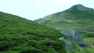 p8270508_thumb.jpg