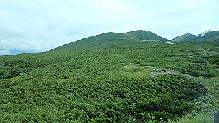 p8270516_thumb.jpg
