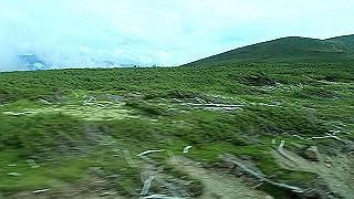 p8270517.mov_thumb.jpg