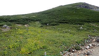 p8270540_thumb.jpg