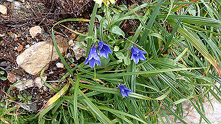 p8270544_thumb.jpg