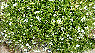 p8270545_thumb.jpg