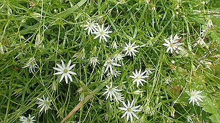 p8270550_thumb.jpg