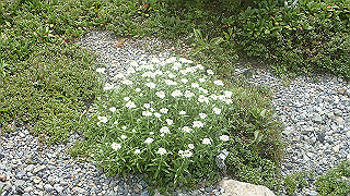 p8270559_thumb.jpg