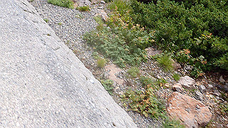 p8270562_thumb.jpg