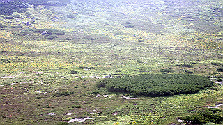 p8270564_thumb.jpg