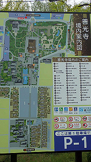 p8280716_thumb.jpg