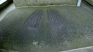 p8280724_thumb.jpg
