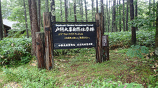 p8290769_thumb.jpg