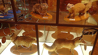p8290778_thumb.jpg