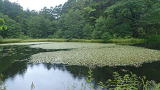 p8290784_thumb.jpg