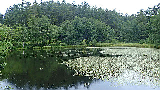 p8290785_thumb.jpg