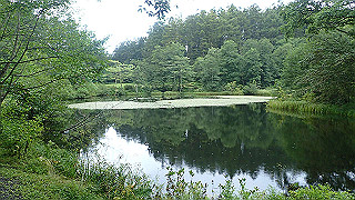 p8290786_thumb.jpg