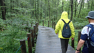 p8290787_thumb.jpg