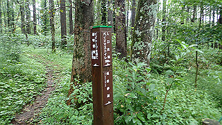 p8290788_thumb.jpg