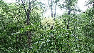 p8290789_thumb.jpg