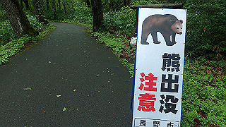 p8290793_thumb.jpg