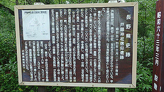 p8290798_thumb.jpg