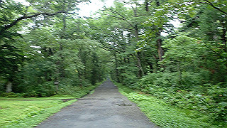 p8290800_thumb.jpg