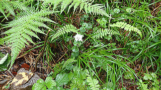 p8290806_thumb.jpg