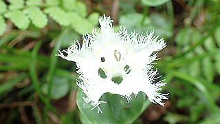 p8290807_thumb.jpg