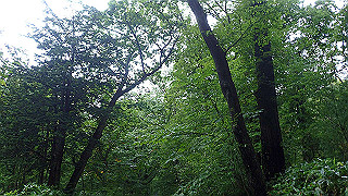 p8290809_thumb.jpg