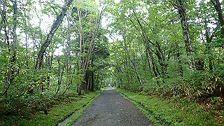 p8290811_thumb.jpg