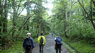 p8290812_thumb.jpg