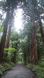 p8290813_thumb.jpg