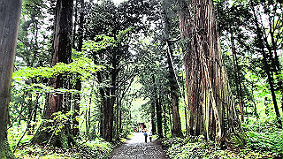 p8290814_thumb.jpg