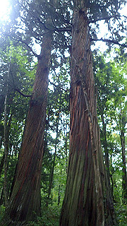 p8290815_thumb.jpg