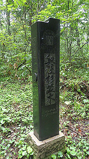 p8290817_thumb.jpg