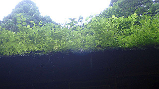 p8290822_thumb.jpg