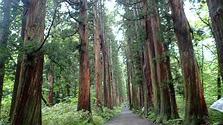p8290824_thumb.jpg