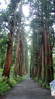 p8290825_thumb.jpg