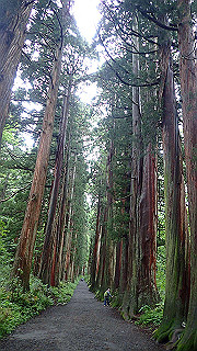 p8290826_thumb.jpg
