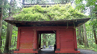 p8290827_thumb.jpg