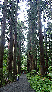 p8290830_thumb.jpg