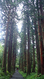 p8290831_thumb.jpg